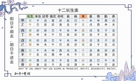 十二長生掌訣|十二长生天干掌诀（带字幕）（零基础入门课）